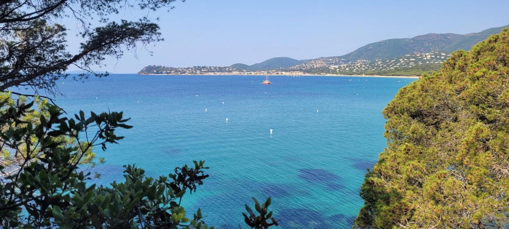 Appart T3 A 50 M De La Plage キャバレール・シュル・メール エクステリア 写真